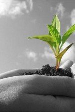 marketing-nuture-business small business tax deductions